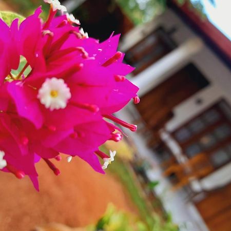 The Cozy Cottage Habarana Exterior foto