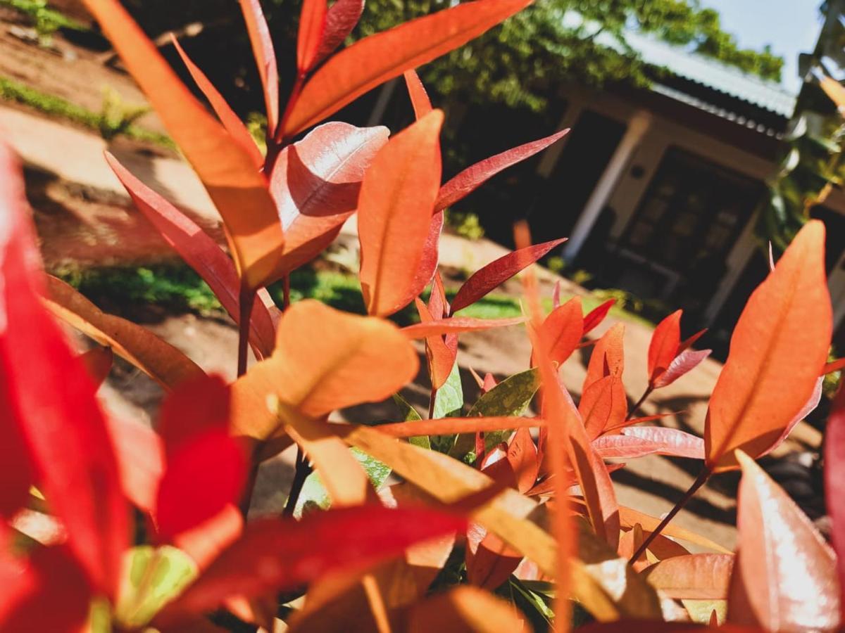 The Cozy Cottage Habarana Exterior foto