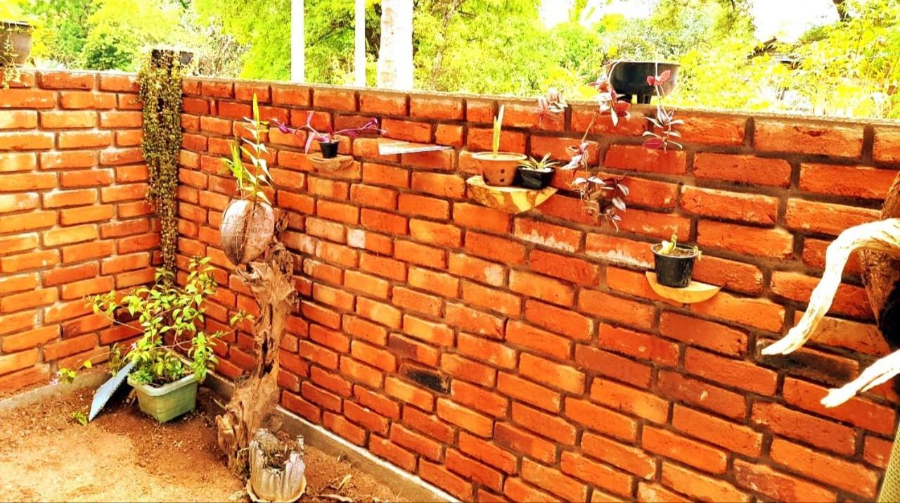 The Cozy Cottage Habarana Exterior foto